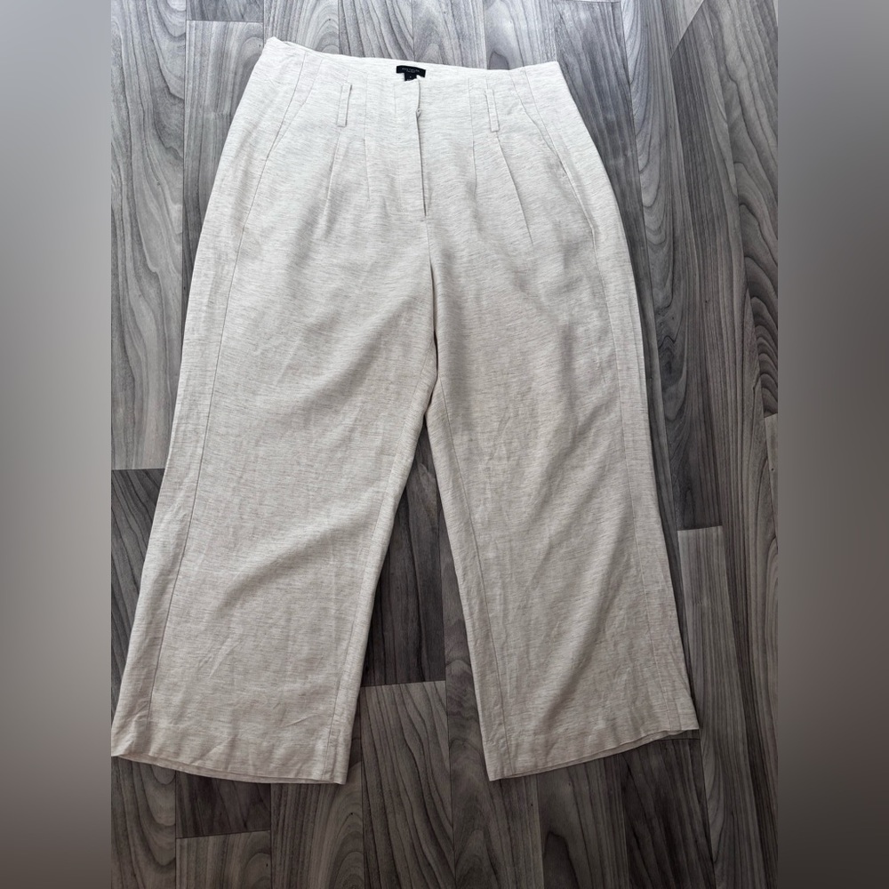Ann Taylor Factory Beige Trousers